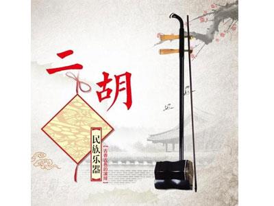 招聘衢州二胡家教老师